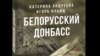 В Беларуси суд признал экстремистской книгу журналистов Андреевой и Ильяша "Белорусский Донбасс" 